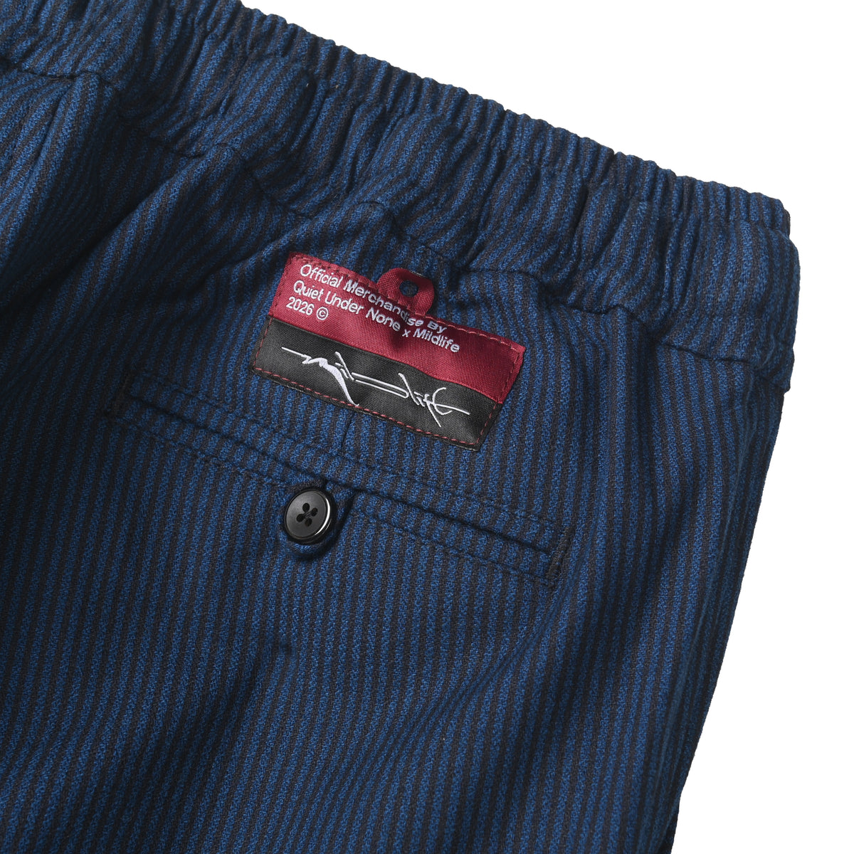 FUTURE LIFE STRIPE PANTS